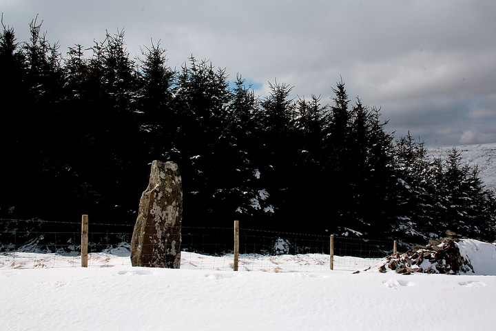 Maen Llwyd (Twyn Du) (Standing Stone / Menhir) by GLADMAN