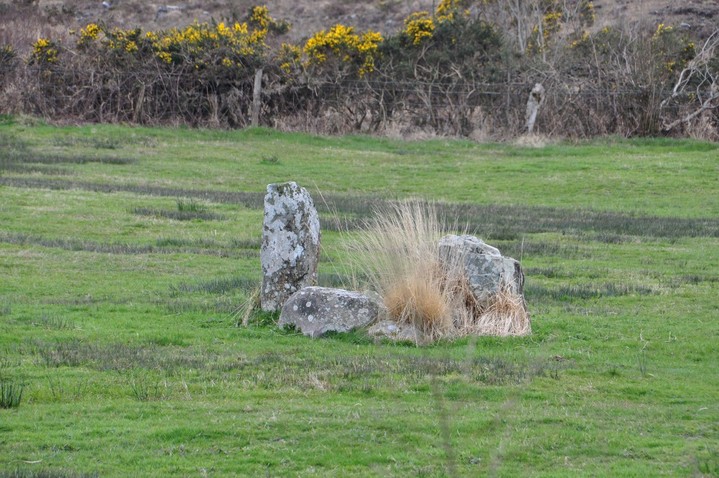 Mill Little (Stone Circle) by bogman