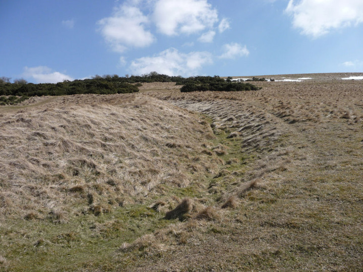 The Ring, Cleeve Hill (Ancient Village / Settlement / Misc. Earthwork) by thesweetcheat