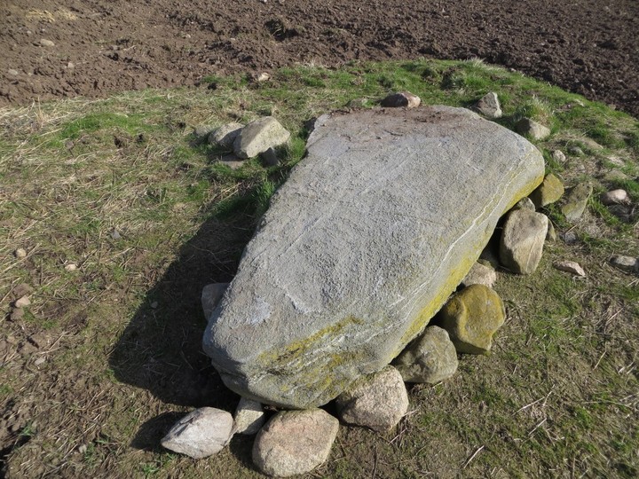 Nether Coullie (Stone Circle) by LesHamilton
