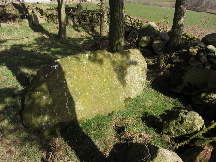 Balnacraig (Stone Circle) by thelonious