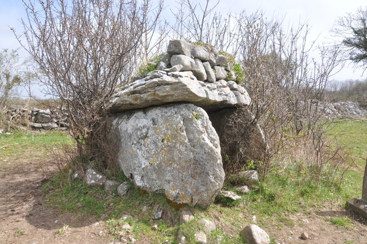 Doorus (Wedge Tomb) by bogman