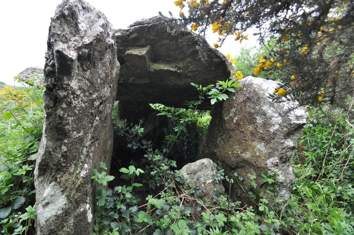 Ballybrittas (Portal Tomb) by bogman