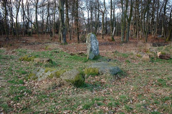 Dalginross (Stone Circle) by nickbrand