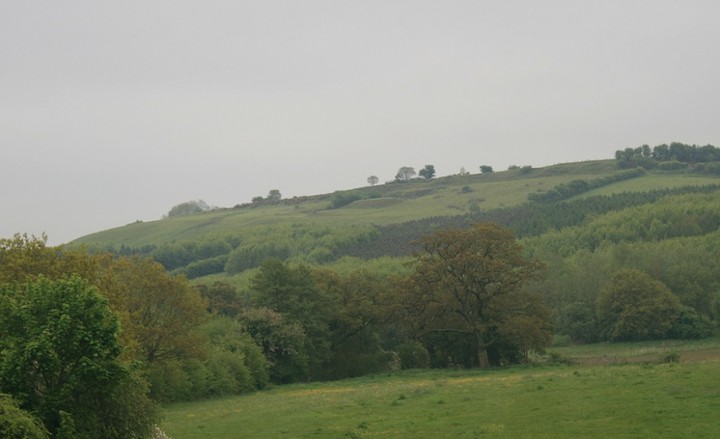 Eddisbury (Hillfort) by postman