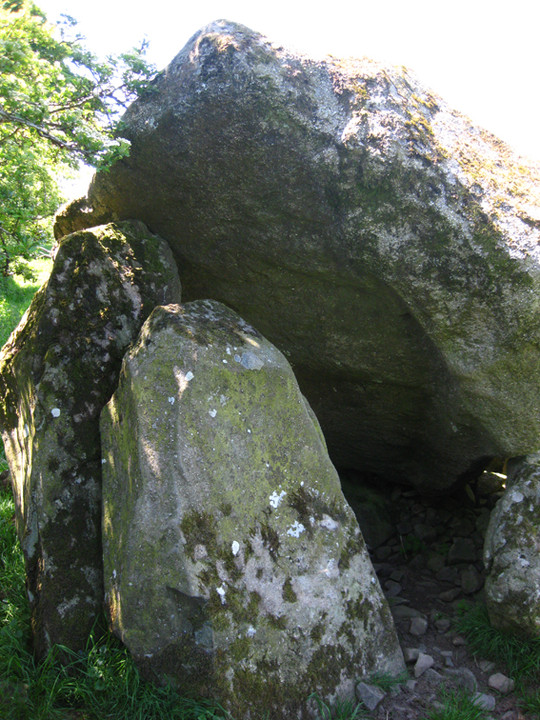 Duffcastle (Portal Tomb) by ryaner
