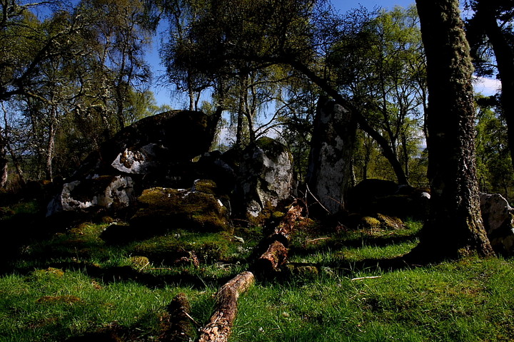 Kings Head Kinrive wood (Chambered Cairn) by GLADMAN