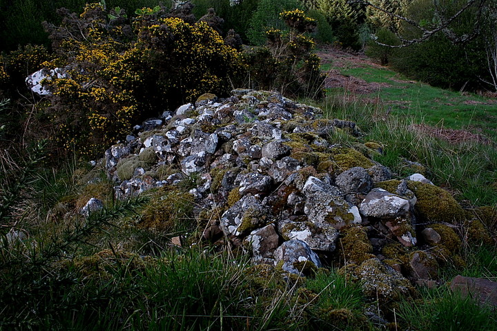 Newmore Wood Cairn (Cairn(s)) by GLADMAN