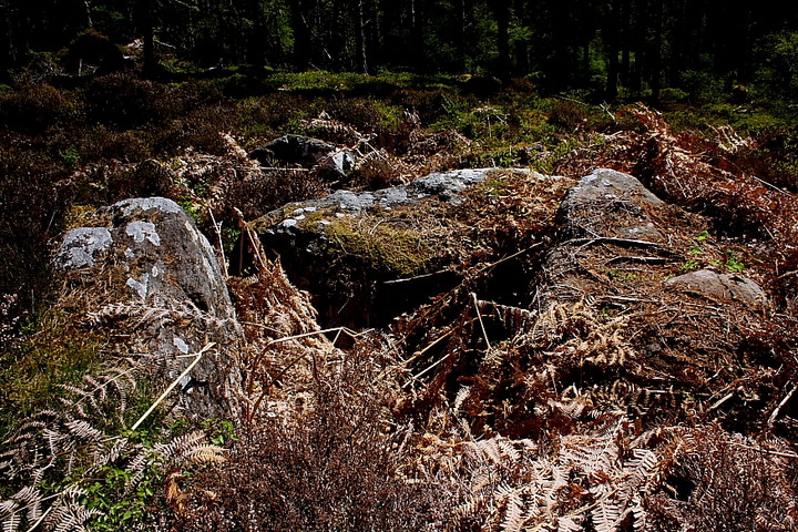 Scotsburn Wood West (Chambered Cairn) by GLADMAN