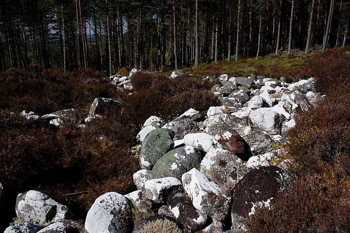 Scotsburn Wood East (Cairn(s)) by GLADMAN