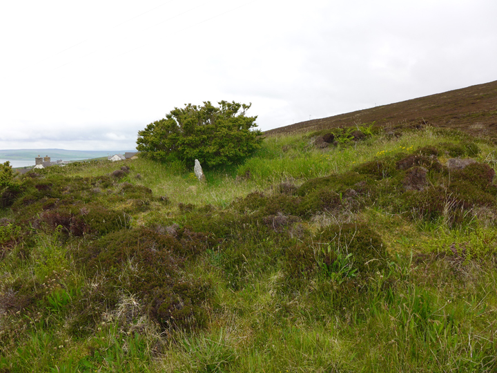 Cubbie Roo's Burden (Chambered Cairn) by thelonious