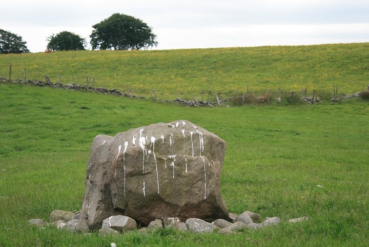 The Bullstones (Stone Circle) by postman