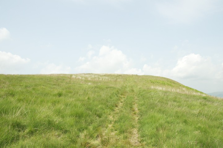 Morton Mains Hill (Hillfort) by ginger tt