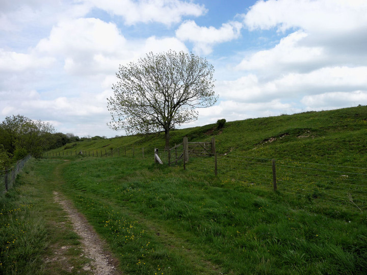 Uley Bury Camp (Hillfort) by thesweetcheat