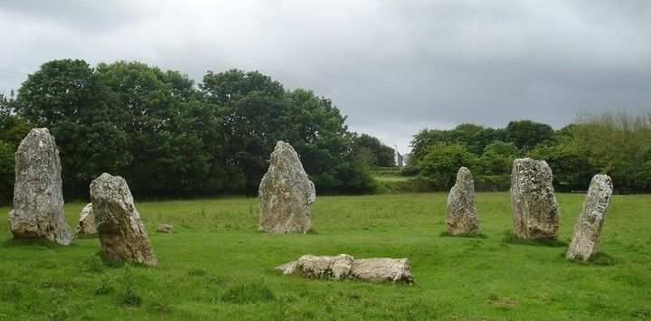 Duloe (Stone Circle) by moss