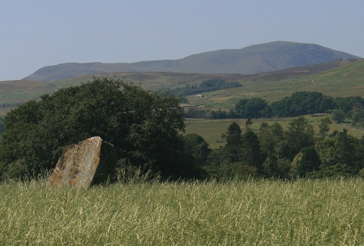 Witches Stone (Monzie) (Standing Stone / Menhir) by postman