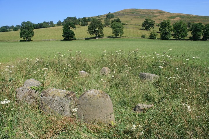 Monzie Circle (Stone Circle) by postman