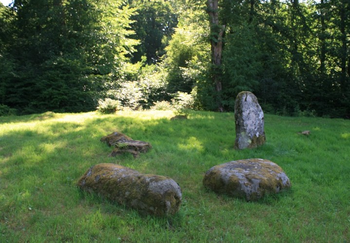 Dalginross (Stone Circle) by postman
