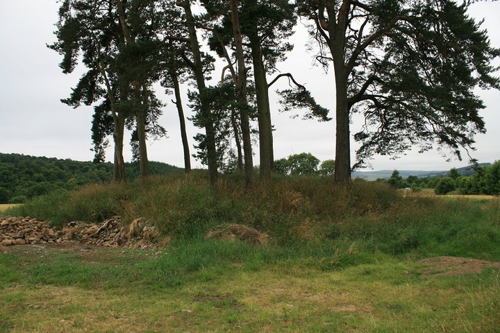 Pitnacree (Round Barrow(s)) by postman