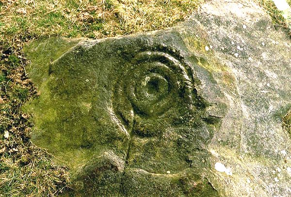 Doddington North (Cup and Ring Marks / Rock Art) by rockartuk