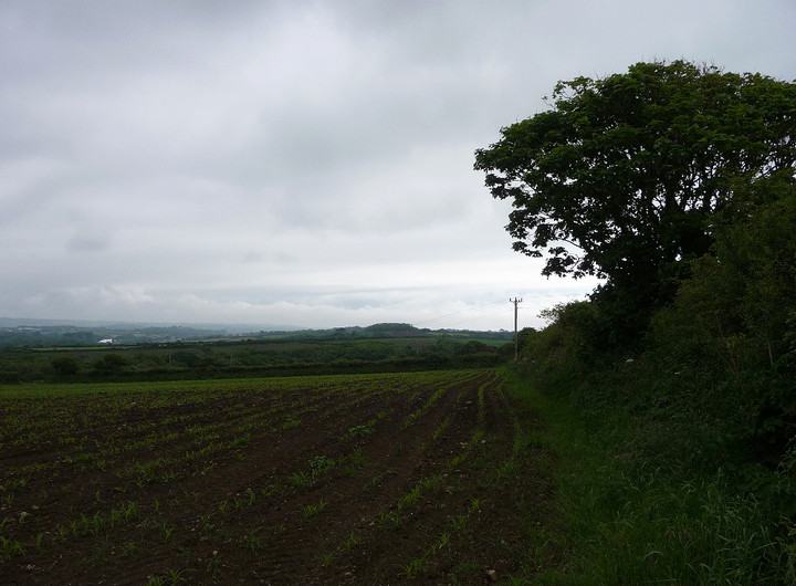 Lesingey Round (Hillfort) by thesweetcheat