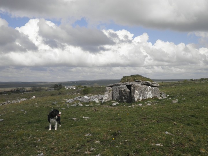 Parknabinnia (Cl. 67) (Wedge Tomb) by bawn79