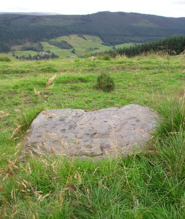 Drumcharry (Cup Marked Stone) by tiompan
