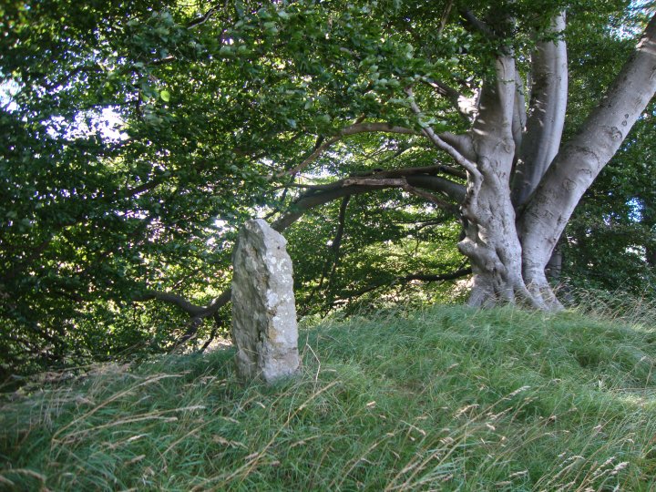 West Down Roman Road Barrows (Round Barrow(s)) by Chance