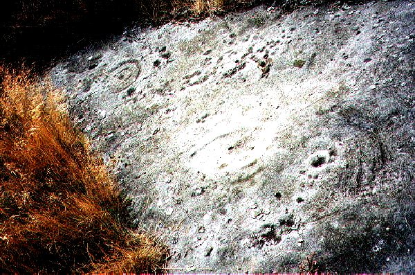 Whitsunbank 1 (Cup and Ring Marks / Rock Art) by rockartuk