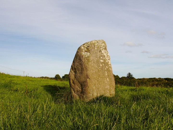 Ballyvoge 1 (Standing Stone / Menhir) by Meic