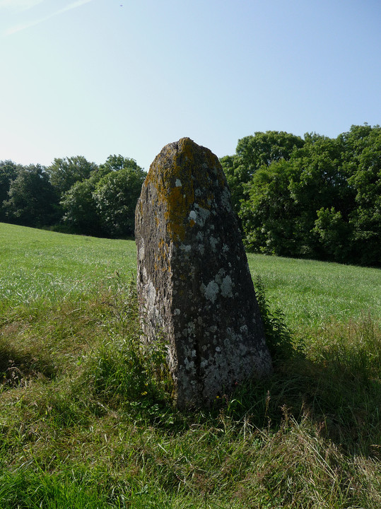 Is-coed (Standing Stone / Menhir) by thesweetcheat