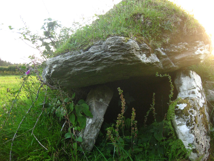 Carrownaganonagh (Wedge Tomb) by ryaner