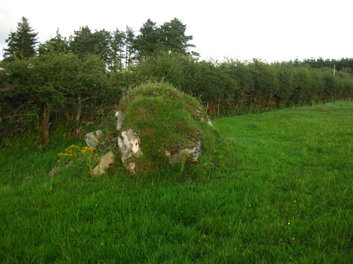 Carrownaganonagh (Wedge Tomb) by ryaner