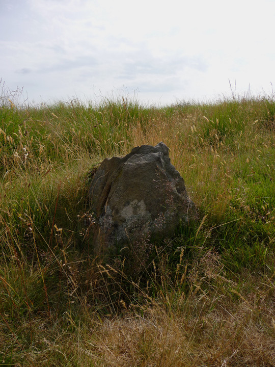 Mynydd y Gelli (Stone Circle) by thesweetcheat