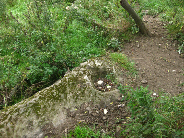 Kileenmore (Bullaun Stone) by ryaner