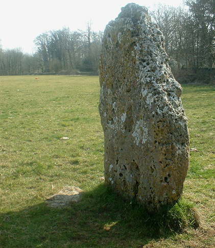 The Longstone of Minchinhampton (Standing Stone / Menhir) by jman