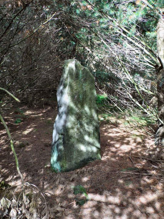 Farley Moor (Standing Stone / Menhir) by stubob