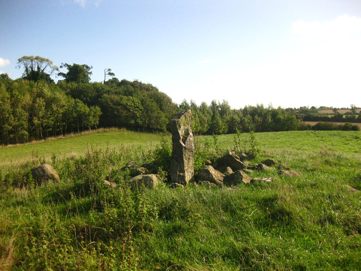 Oldbridge (Standing Stones) by ryaner