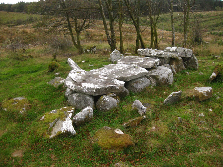 Burren (E) (Wedge Tomb) by ryaner