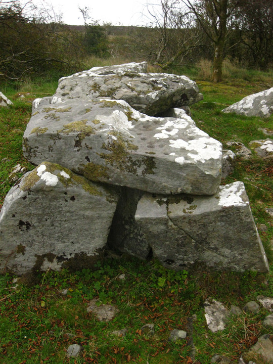 Burren (E) (Wedge Tomb) by ryaner