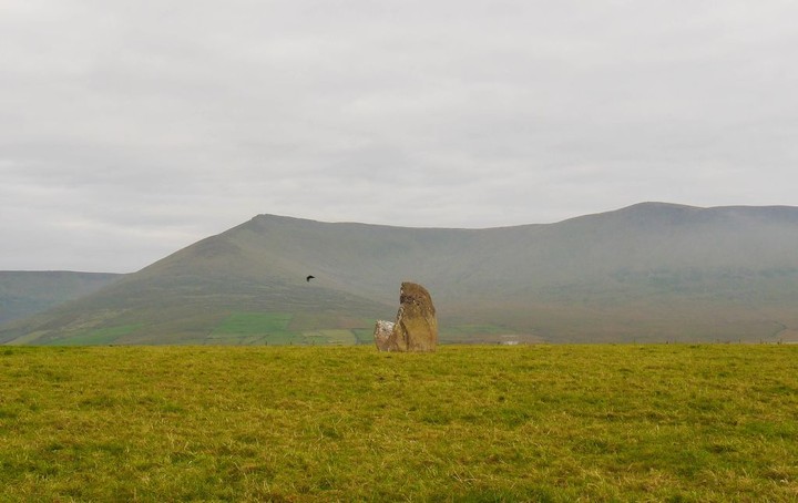 Graigue (Standing Stone / Menhir) by Meic