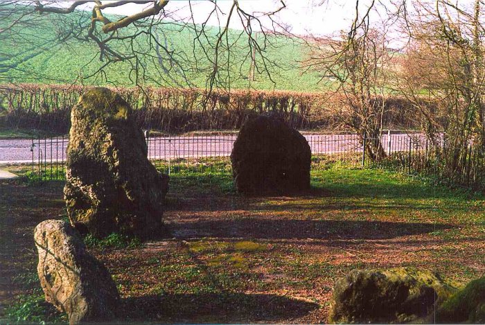 The Nine Stones of Winterbourne Abbas (Stone Circle) by jimit