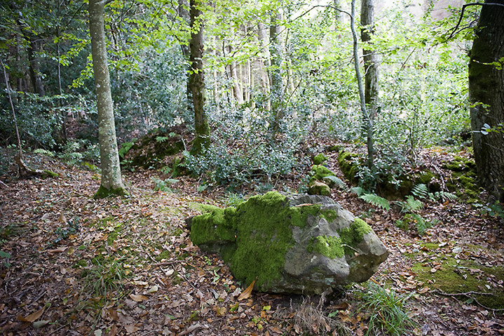 Rempstone Stone Circle (Stone Circle) by A R Cane