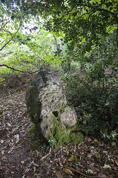 Rempstone Stone Circle (Stone Circle) by A R Cane