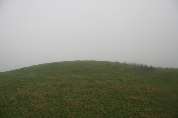 Cothercott Hill (Round Barrow(s)) by postman