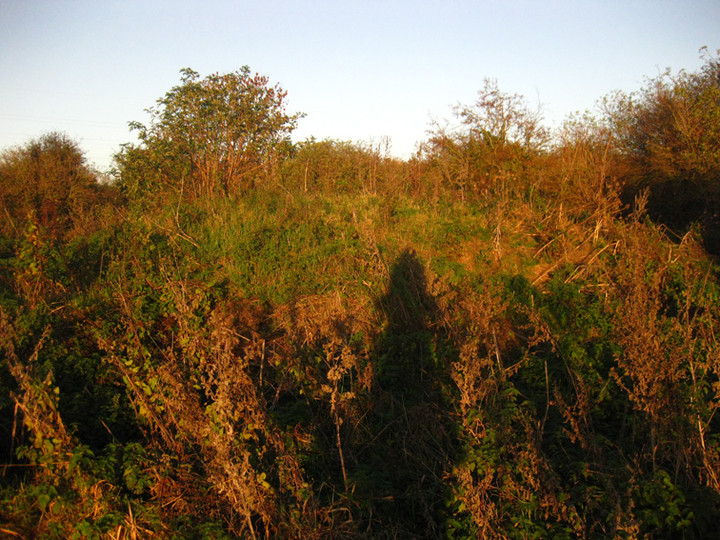 Corduff (Artificial Mound) by ryaner