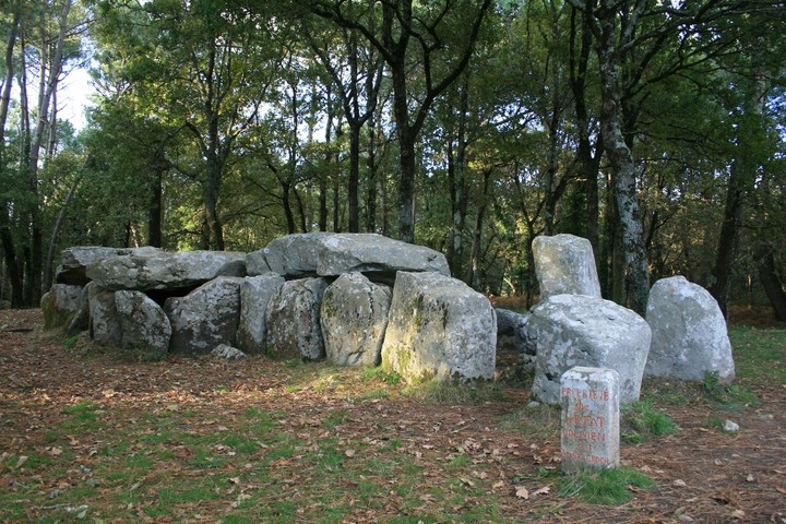 Dolmen de Mané Croc'h (Chambered Tomb) by Ravenfeather