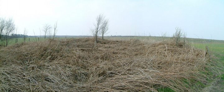Longside Moor (Round Barrow(s)) by stubob