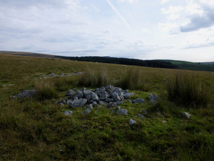 Cwm Fforch-wen (Cairn(s)) by thesweetcheat