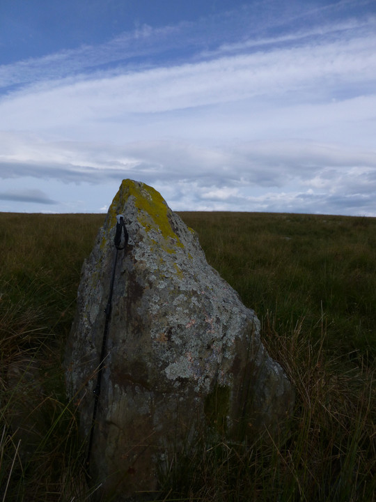 Llorfa menhir (Standing Stone / Menhir) by thesweetcheat
